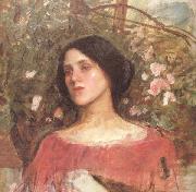 John William Waterhouse The Rose Bower (mk41) oil painting on canvas